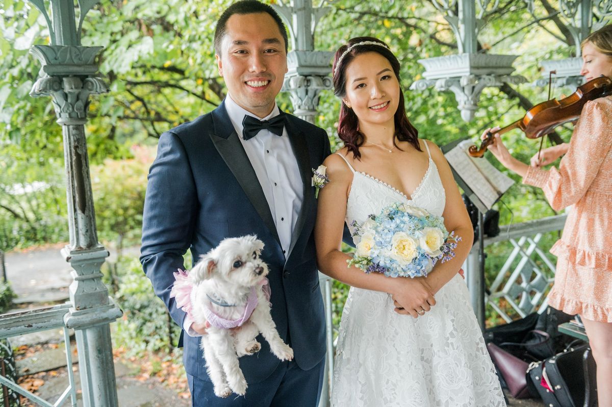 With their dogs at Ladies Pavilion - Central Park Wedding - New York City
